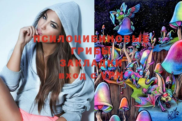 тгк Аркадак