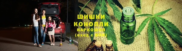 тгк Аркадак