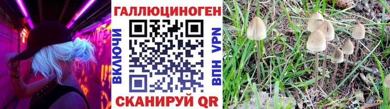 Галлюциногенные грибы прущие грибы  закладка  Белая Калитва 