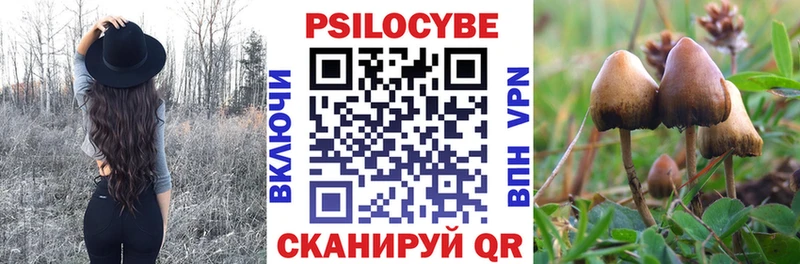 Псилоцибиновые грибы прущие грибы Белая Калитва