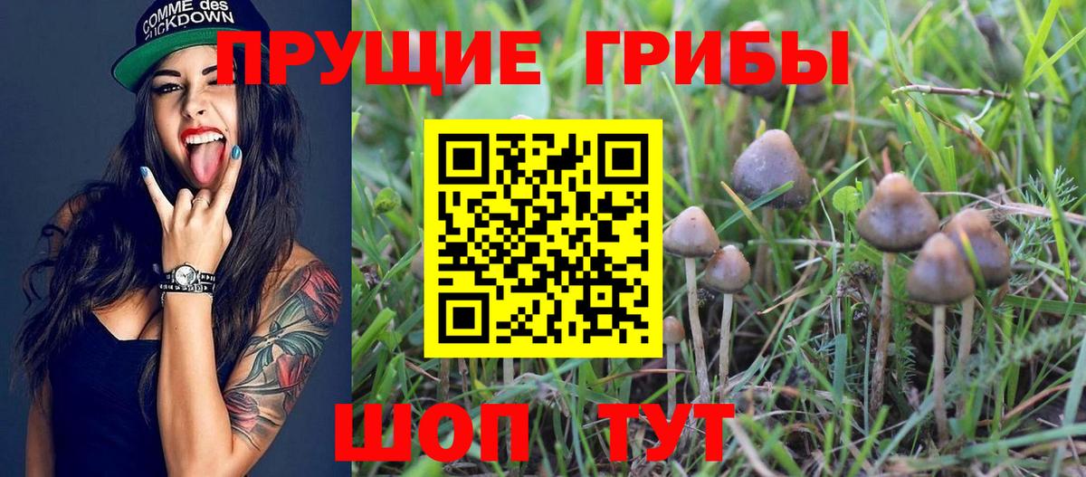 Белая Калитва  Псилоцибиновые грибы Cubensis  Вход с VPN 