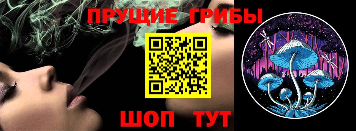 Псилоцибиновые грибы мицелий Белая Калитва