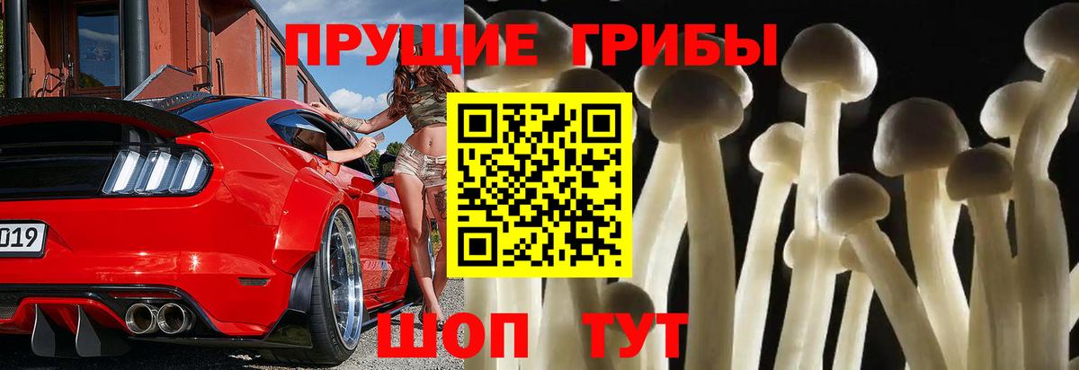 Галлюциногенные грибы мухоморы  Белая Калитва  Псилоцибиновые грибы MAGIC MUSHROOMS 