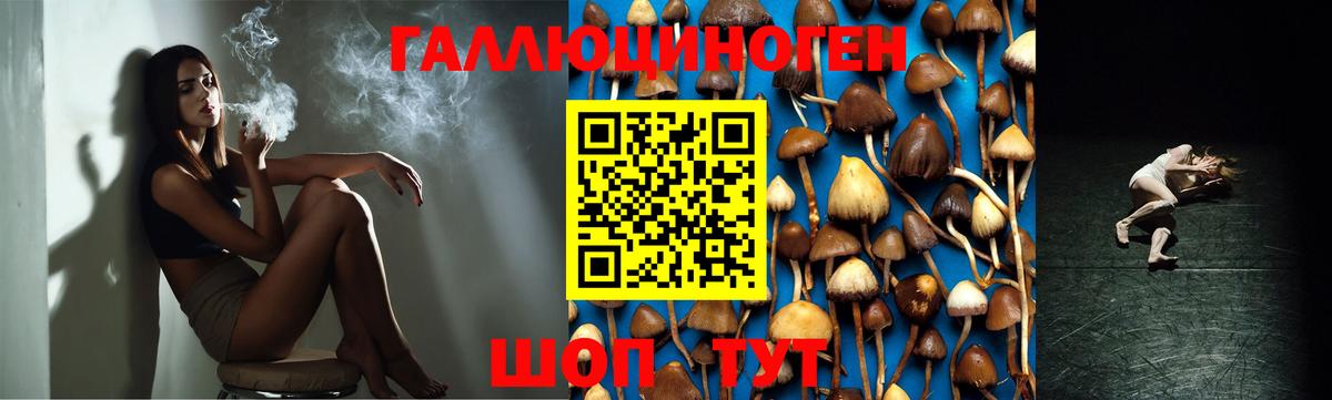 Белая Калитва  Каннабис  Мефедрон  Вход с VPN  Альфа-ПВП  Кодеин  ГАШИШ  Бошки Шишки  COCAIN 