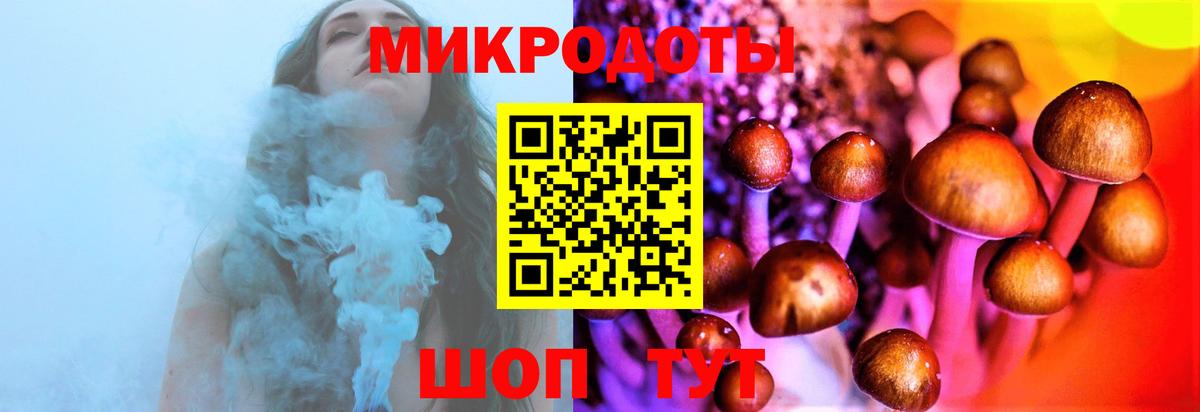 Галлюциногенные грибы прущие грибы Белая Калитва